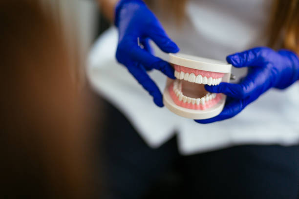 Professional Dental Services in Versailles, PA